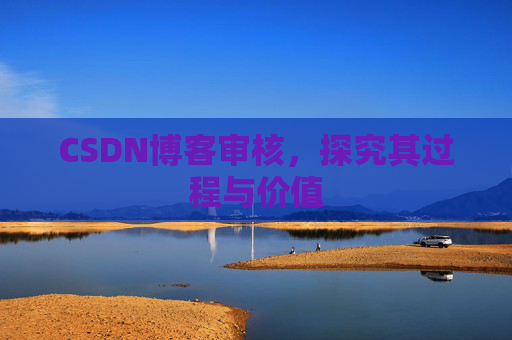 CSDN博客审核，探究其过程与价值